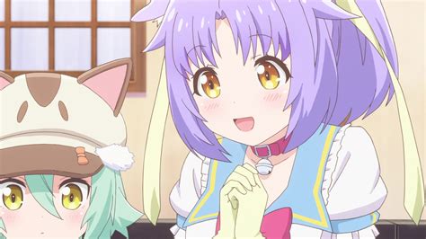 nekopara english dub.